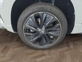 Daumennagel 14 - Skoda Karoq Sportline 1,5TSI DSG aAHK/ACC/Matrix/Navi/el.Klappe   **