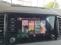 Daumennagel 29 - Skoda Karoq Sportline 1,5TSI DSG aAHK/ACC/Matrix/Navi/el.Klappe   **
