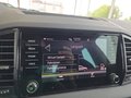 Daumennagel 33 - Skoda Karoq Sportline 1,5TSI DSG aAHK/ACC/Matrix/Navi/el.Klappe   **
