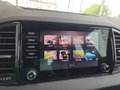 Daumennagel 39 - Skoda Karoq Sportline 1,5TSI DSG aAHK/ACC/Matrix/Navi/el.Klappe   **