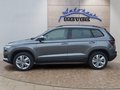 Daumennagel 2 - Skoda Karoq 1,5TSI DSG aAHK/ACC/Kamera/Winterp.       **