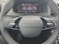 Daumennagel 23 - Skoda Karoq 1,5TSI DSG aAHK/ACC/Kamera/Winterp.       **