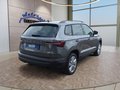 Daumennagel 5 - Skoda Karoq 1,5TSI DSG aAHK/ACC/Kamera/Winterp.       **