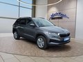 Daumennagel 7 - Skoda Karoq 1,5TSI DSG aAHK/ACC/Kamera/Winterp.       **