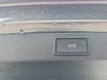 Daumennagel 24 - Skoda Karoq Sportline 1,5TSI DSG 4*J.Gar/Pano/aAHK/Matrix/Navi