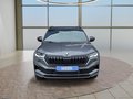 Daumennagel 9 - Skoda Karoq Sportline 1,5TSI DSG 4*J.Gar/Pano/aAHK/Matrix/Navi