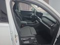 Daumennagel 15 - Skoda Kodiaq 1,5TSI DSG aAHK/7-Sitzer/Navi/ACC/el.Klappe  **