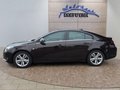 Daumennagel 2 - Opel Insignia 1.6CDTI 8*Alu/Navi/Kamera/Winterp.