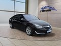 Daumennagel 7 - Opel Insignia 1.6CDTI 8*Alu/Navi/Kamera/Winterp.