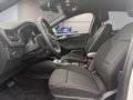 Daumennagel 9 - Ford Focus ST-Line 1,5d 115PS Aut.Navi/LED/Kamera/ACC/2-Z.Klima  **