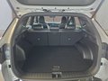 Daumennagel 17 - Hyundai TUCSON 1,6T HEV N Line Matrix/ACC/el.Klappe/Winterp. **