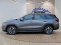 Daumennagel 2 - Skoda Kodiaq 1.5TSI mHEV Navi/Kamera/LED/el.Klappe/Kessy  **