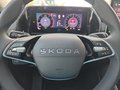 Daumennagel 20 - Skoda Kodiaq 1.5TSI mHEV Navi/Kamera/LED/el.Klappe/Kessy  **