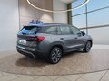 Daumennagel 5 - Skoda Kodiaq 1.5TSI mHEV Navi/Kamera/LED/el.Klappe/Kessy  **