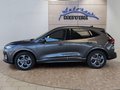 Daumennagel 2 - Ford Kuga ST-Line 1,5 186PS Aut.aAHK/5*J.Gar/Navi/Kamera/Winterp.  **