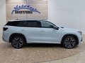 Daumennagel 6 - Skoda Kodiaq Sportline 1,5 TSI iV aAHK/Pano/Matrix/Navi  **