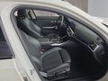 Daumennagel 16 - BMW 330d Sport Line Pano/Navi/LED/el.Klappe/Keyless