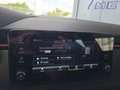 Daumennagel 29 - Skoda Kamiq Monte Carlo 1,5TSI DSG 4*J.Gar/AHK/18*Alu/el.Klappe  **