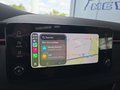 Daumennagel 33 - Skoda Kamiq Monte Carlo 1,5TSI DSG 4*J.Gar/AHK/18*Alu/el.Klappe  **