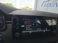 Daumennagel 38 - Skoda Kamiq Monte Carlo 1,5TSI DSG 4*J.Gar/AHK/18*Alu/el.Klappe  **