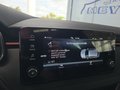 Daumennagel 41 - Skoda Kamiq Monte Carlo 1,5TSI DSG 4*J.Gar/AHK/18*Alu/el.Klappe  **