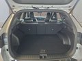 Daumennagel 17 - Hyundai TUCSON 1,6T HEV N Line Matrix/ACC/el.Klappe/Winterp. **