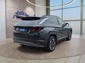 Daumennagel 6 - Hyundai TUCSON 1.6 T-GDI DCT Navi/ACC/Kamera/Keyless/Sitzhz. **