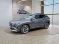 Daumennagel 2 - Hyundai TUCSON 1.6 T-GDI DCT Navi/ACC/Kamera/Keyless/Sitzhz. **