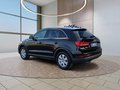 Daumennagel 4 - Audi Q3 2.0TDI 150PS 8*Alu/AHK/Navi/Xenon/Keyless