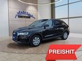Daumennagel 1 - Audi Q3 2.0TDI 150PS 8*Alu/AHK/Navi/Xenon/Keyless