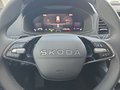 Daumennagel 22 - Skoda Karoq 1,5TSI DSG 18*Alu/aAHK/ACC/Kamera/Winterp.       **