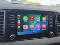 Daumennagel 33 - Skoda Karoq 1,5TSI DSG 18*Alu/aAHK/ACC/Kamera/Winterp.       **
