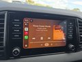 Daumennagel 36 - Skoda Karoq 1,5TSI DSG 18*Alu/aAHK/ACC/Kamera/Winterp.       **