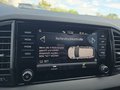 Daumennagel 40 - Skoda Karoq 1,5TSI DSG 18*Alu/aAHK/ACC/Kamera/Winterp.       **