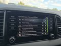 Daumennagel 44 - Skoda Karoq 1,5TSI DSG 18*Alu/aAHK/ACC/Kamera/Winterp.       **