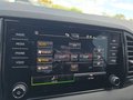 Daumennagel 46 - Skoda Karoq 1,5TSI DSG 18*Alu/aAHK/ACC/Kamera/Winterp.       **