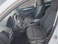 Daumennagel 9 - Skoda Karoq 1,5TSI DSG 18*Alu/aAHK/ACC/Kamera/Winterp.       **