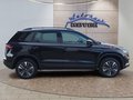 Daumennagel 6 - Skoda Karoq 2,0TDI DSG 4*J.Gar/aAHK/Kamera/Kessy/Winterp. **