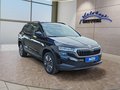 Daumennagel 7 - Skoda Karoq 2,0TDI DSG 4*J.Gar/aAHK/Kamera/Kessy/Winterp. **