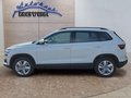 Daumennagel 2 - Skoda Karoq 1,5TSI DSG aAHK/ACC/Kamera/Winterp.       **