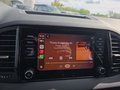 Daumennagel 37 - Skoda Karoq 1,5TSI DSG aAHK/ACC/Kamera/Winterp.       **