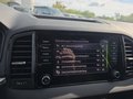 Daumennagel 47 - Skoda Karoq 1,5TSI DSG aAHK/ACC/Kamera/Winterp.       **