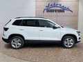 Daumennagel 6 - Skoda Karoq 1,5TSI DSG aAHK/ACC/Kamera/Winterp.       **
