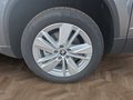 Daumennagel 15 - Skoda Karoq 1,5TSI DSG aAHK/ACC/Kamera/Winterp.       **