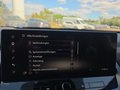 Daumennagel 40 - Nissan Qashqai Tekna+ 1,3 DIG-T 20*Alu/Pano/Leder/Matrix **