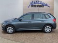 Daumennagel 2 - Skoda Kamiq 1,5TSI DSG AHK/LED/Kessy/el.Klappe/Sitzhz.