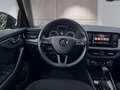 Daumennagel 12 - Skoda Kamiq 1,5TSI DSG AHK/LED/Kessy/el.Klappe/Sitzhz.