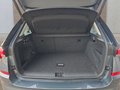 Daumennagel 16 - Skoda Kamiq 1,5TSI DSG AHK/LED/Kessy/el.Klappe/Sitzhz.