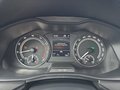 Daumennagel 19 - Skoda Kamiq 1,5TSI DSG AHK/LED/Kessy/el.Klappe/Sitzhz.