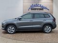 Daumennagel 2 - Skoda Karoq 1,5TSI DSG aAHK/ACC/Kamera/Winterp.